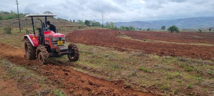 Gada Maize Farm in Cadzunda - Blantyre.